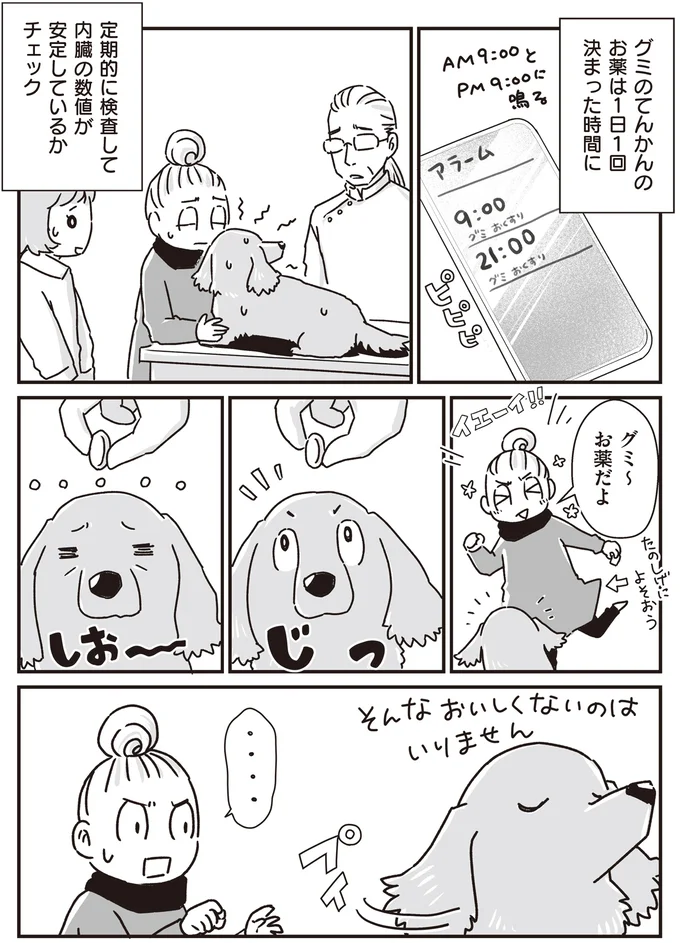 『何度でも言うね、大好きだよ 愛犬グミと銀次郎と過ごした日々』より