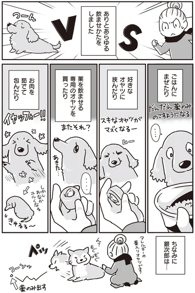 『何度でも言うね、大好きだよ 愛犬グミと銀次郎と過ごした日々』より