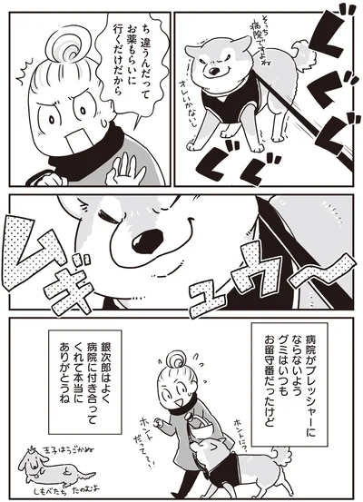 『何度でも言うね、大好きだよ 愛犬グミと銀次郎と過ごした日々』より