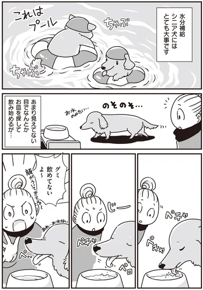 『何度でも言うね、大好きだよ 愛犬グミと銀次郎と過ごした日々』より