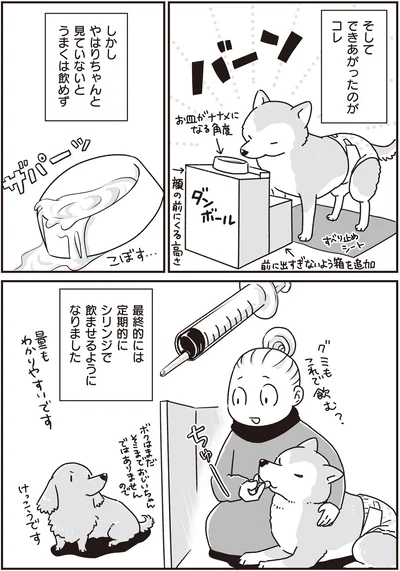 『何度でも言うね、大好きだよ 愛犬グミと銀次郎と過ごした日々』より