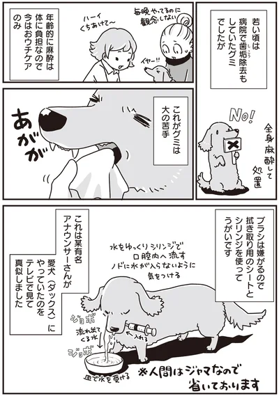 『何度でも言うね、大好きだよ 愛犬グミと銀次郎と過ごした日々』より