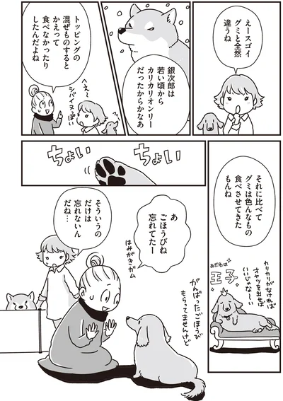 『何度でも言うね、大好きだよ 愛犬グミと銀次郎と過ごした日々』より