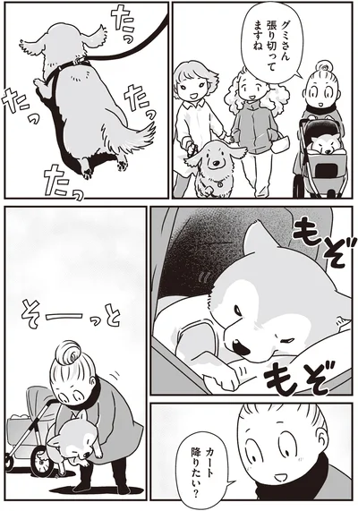 『何度でも言うね、大好きだよ 愛犬グミと銀次郎と過ごした日々』より