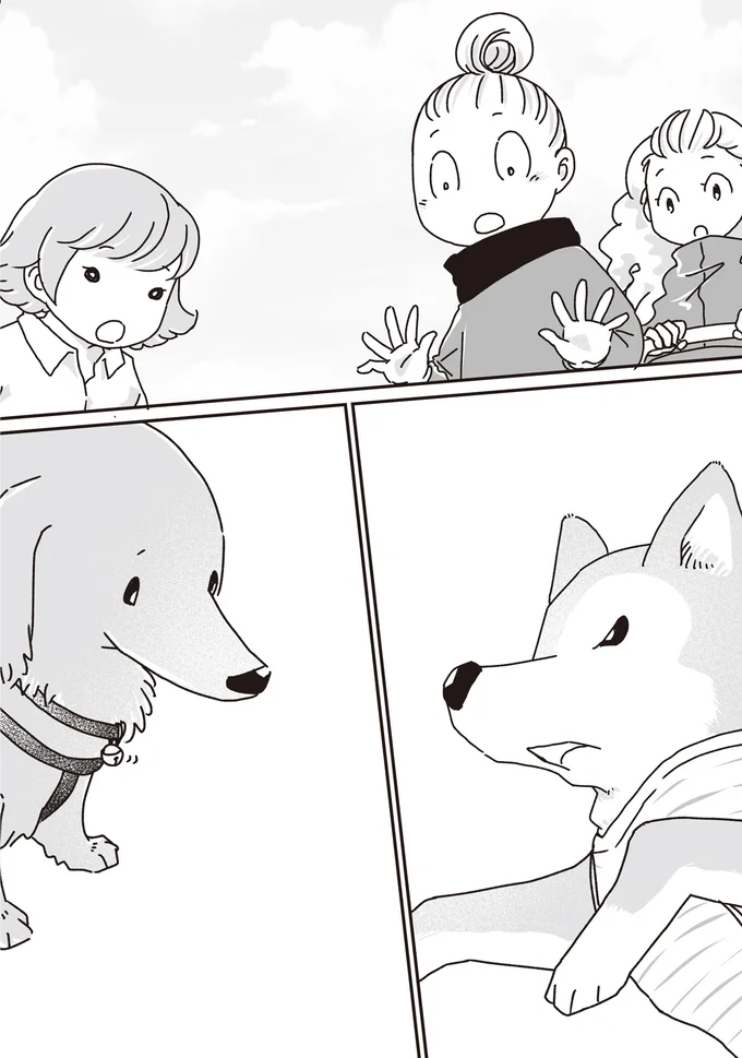 『何度でも言うね、大好きだよ 愛犬グミと銀次郎と過ごした日々』より