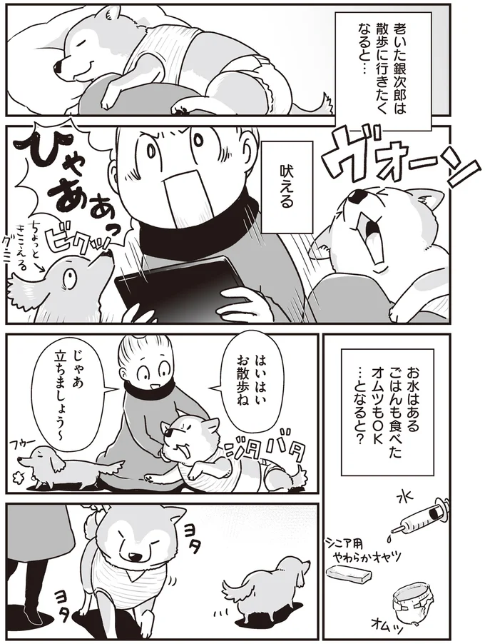 『何度でも言うね、大好きだよ 愛犬グミと銀次郎と過ごした日々』より