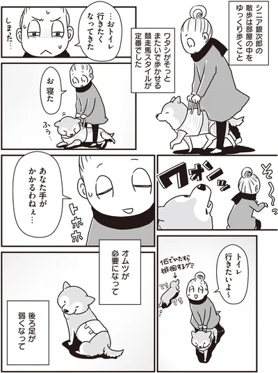 『何度でも言うね、大好きだよ 愛犬グミと銀次郎と過ごした日々』より