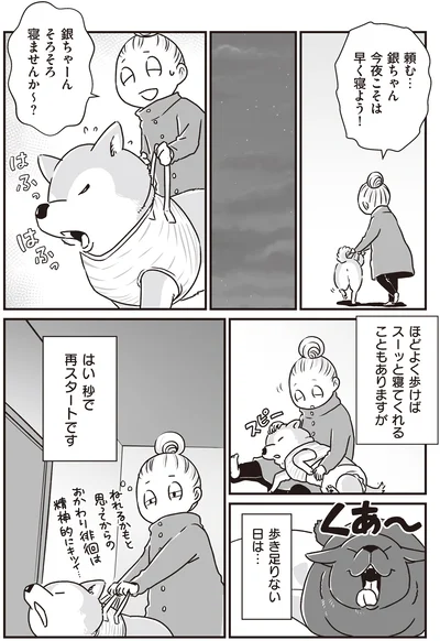『何度でも言うね、大好きだよ 愛犬グミと銀次郎と過ごした日々』より