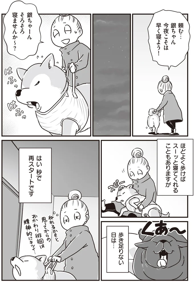 『何度でも言うね、大好きだよ 愛犬グミと銀次郎と過ごした日々』より