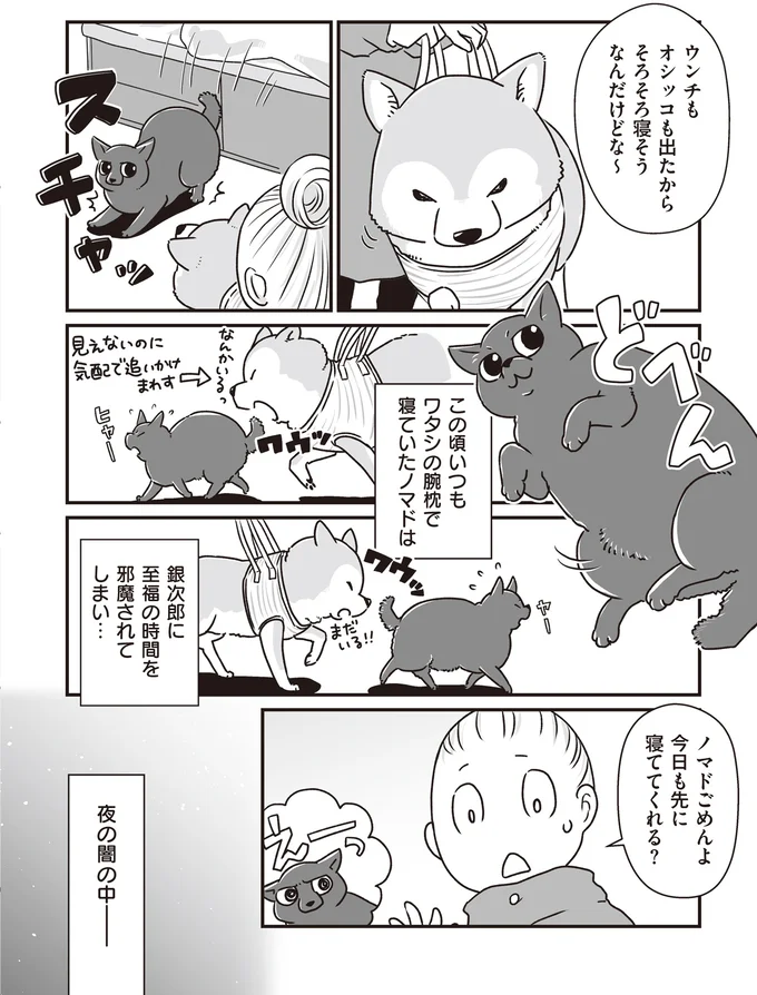 『何度でも言うね、大好きだよ 愛犬グミと銀次郎と過ごした日々』より