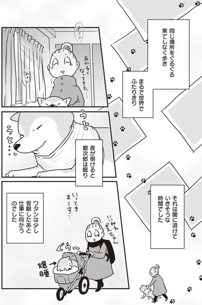 『何度でも言うね、大好きだよ 愛犬グミと銀次郎と過ごした日々』より