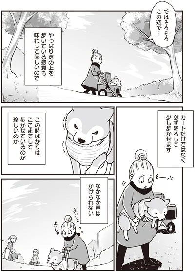 『何度でも言うね、大好きだよ 愛犬グミと銀次郎と過ごした日々』より