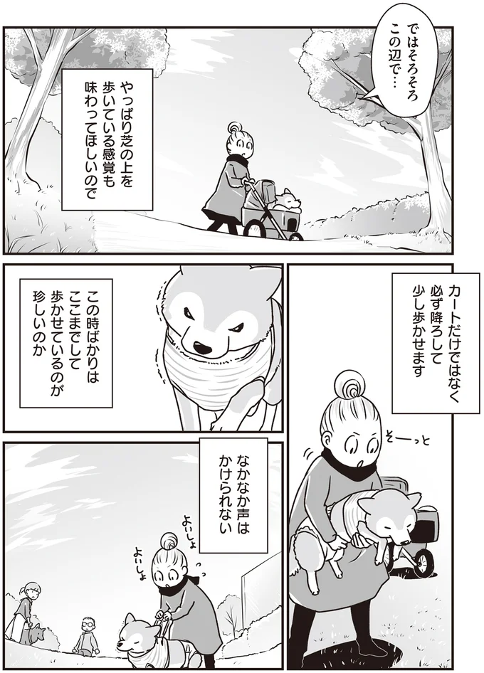 『何度でも言うね、大好きだよ 愛犬グミと銀次郎と過ごした日々』より