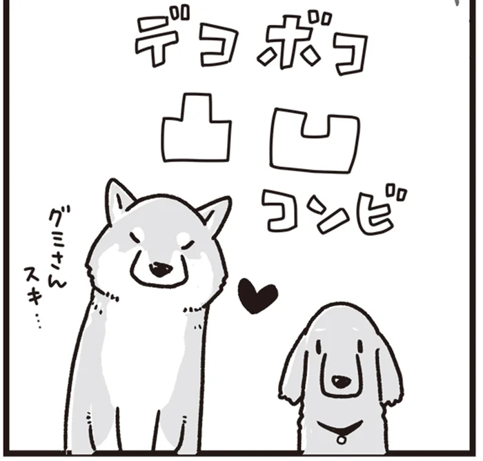 仲良しだったミニチュアダックスの「グミ」と柴犬の「銀次郎」。久しぶりに再会すると？