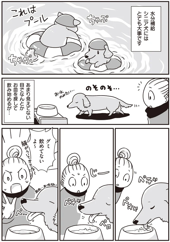 シニア犬にはとても大事