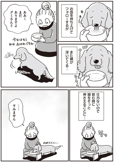 まだありますよ