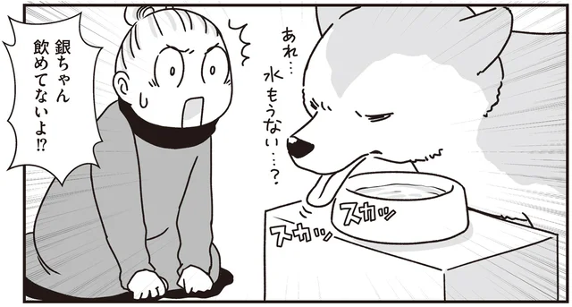 目が見えなくなってきて、水の場所がわからない！シニア犬に水を飲ませるには？