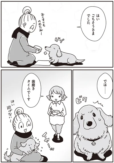 歯磨きタイムで～す