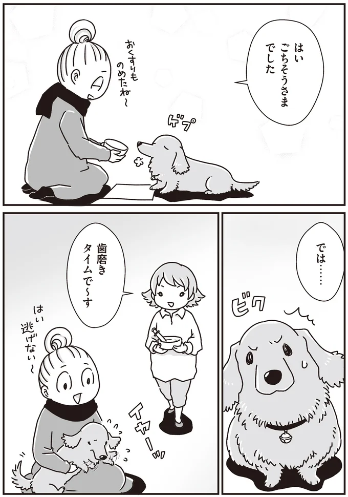 歯磨きタイムで～す