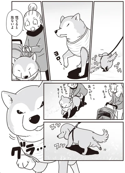 慌てると危ないよ