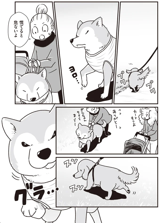 慌てると危ないよ