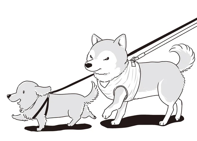 仲が良かった若い頃のように。シニア犬2匹が並んでお散歩した日