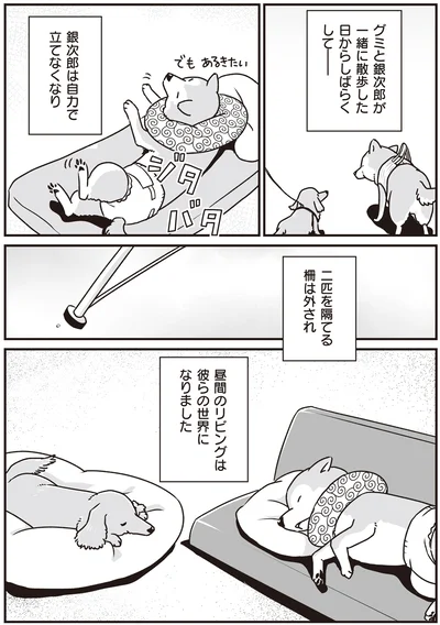 2匹を隔てる柵は外され