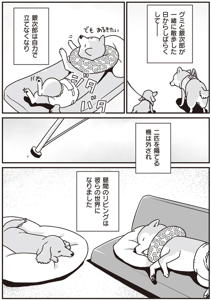 2匹を隔てる柵は外され