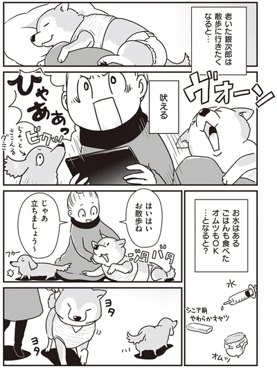 はいはいお散歩ね