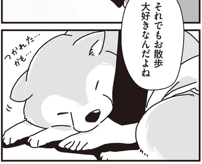 お散歩大好きなんだよね