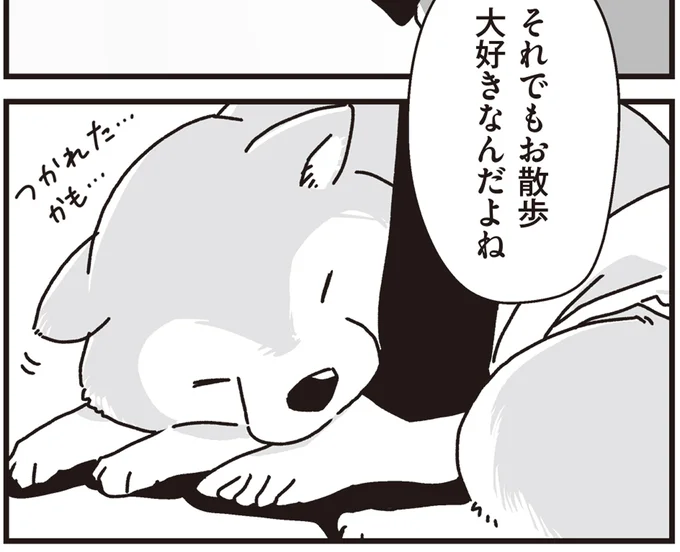 お散歩大好きなんだよね