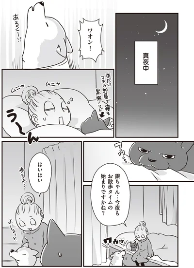 お散歩タイムの始まりですかね？