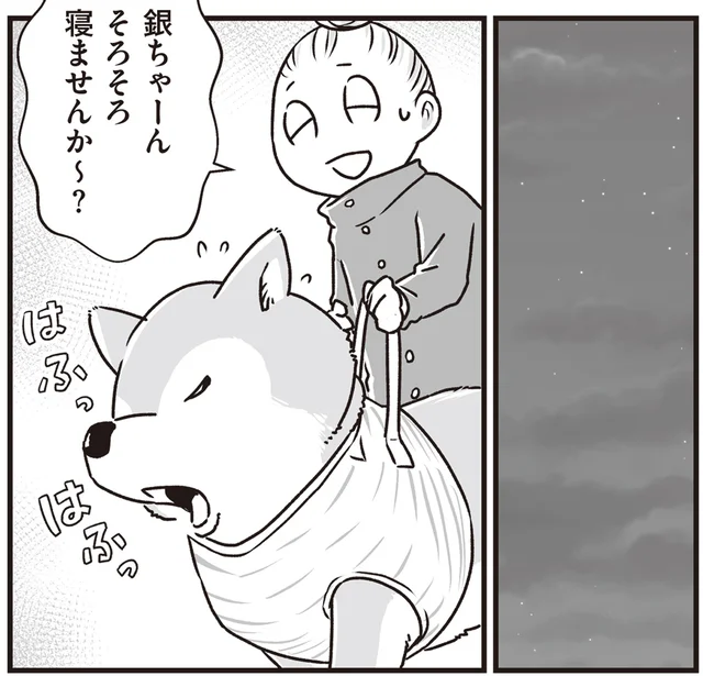 まるで世界でふたりきり。老いた柴犬と同じ場所をぐるぐる歩く、夜のお散歩