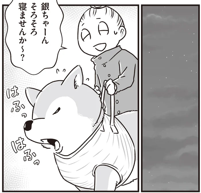 まるで世界でふたりきり。老いた柴犬と同じ場所をぐるぐる歩く、夜のお散歩