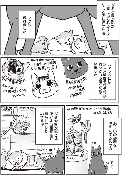 ヤツは現れました