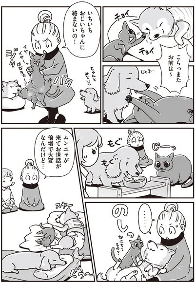いちいちおじいちゃんに絡まないの！