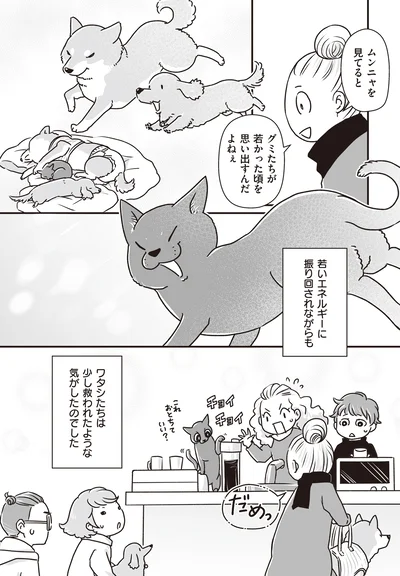 若かった頃を思い出すんだよねぇ