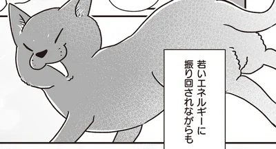 若いエネルギーに振り回されながらも