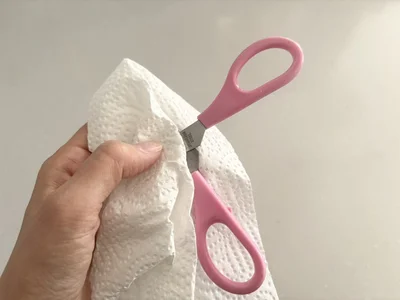 ハサミを水で洗い流し、キッチンペーパーで水分を拭き取ったら完了（▶︎結果は…）