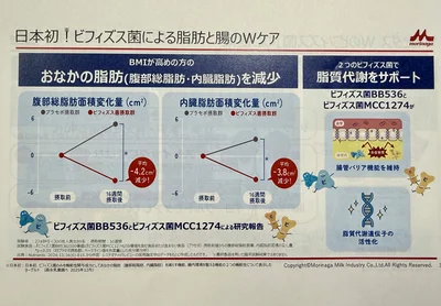ビフィズス菌による脂肪と腸のWケア