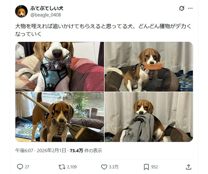 まとめてみると本当に大きくなってる…！▶時にはこんなものも（⇒次へ）