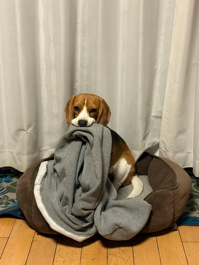 最終的に獲物がこんなにデカく！▶獲物の軌跡（⇒次へ）