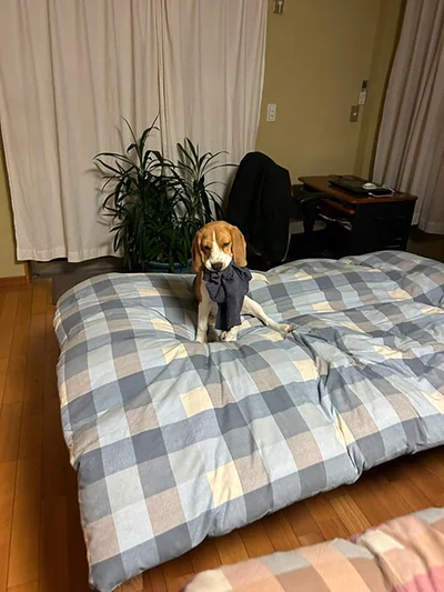 怒られてしょげてる？拗ねてる？▶拗ねつつも…（⇒次へ）