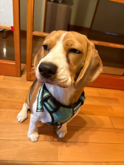 絶妙な表情がたまりません！▶これもまた絶妙（⇒次へ）