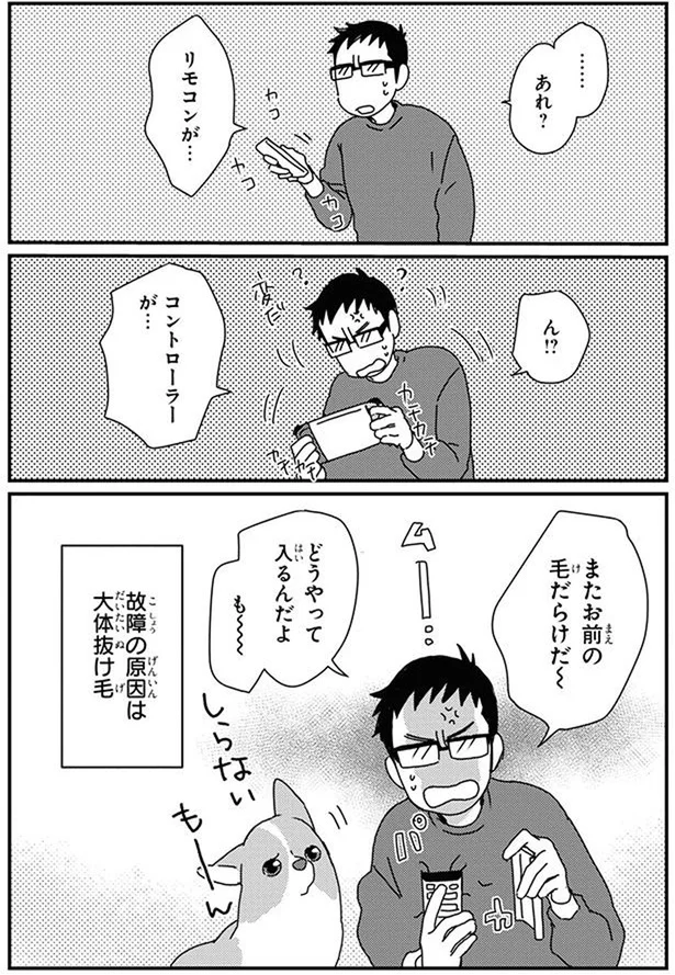 『あしょんでよッ〜うちの犬ログ〜10』より