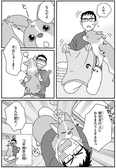 『あしょんでよッ〜うちの犬ログ〜10』より