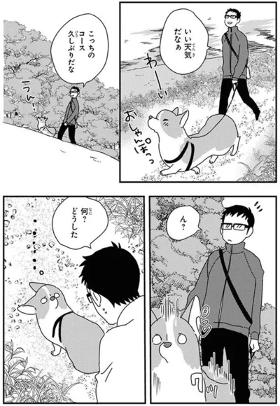 『あしょんでよッ〜うちの犬ログ〜10』より