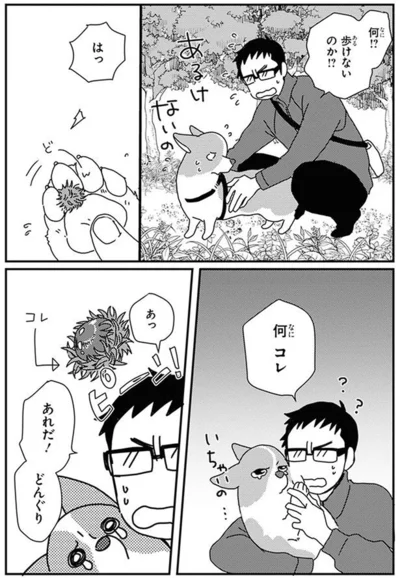 『あしょんでよッ〜うちの犬ログ〜10』より