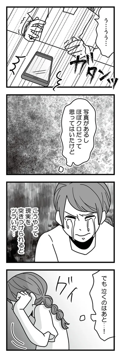 『結婚生活の半分以上不倫サレてました-夫と不倫相手を地獄に堕とす』より