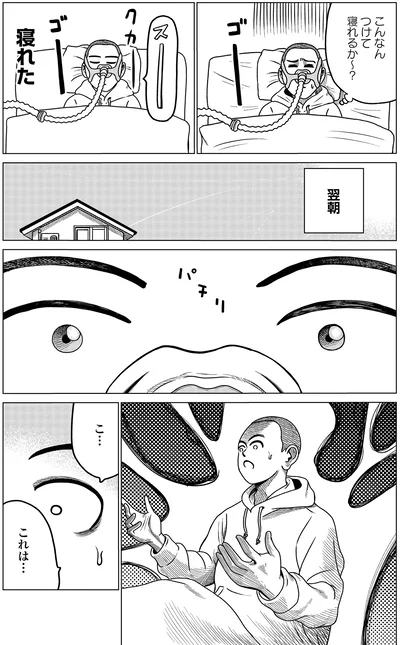 『ドキュメントSAS～無呼吸症候群の男がCPAPを返却するまでの物語～』より